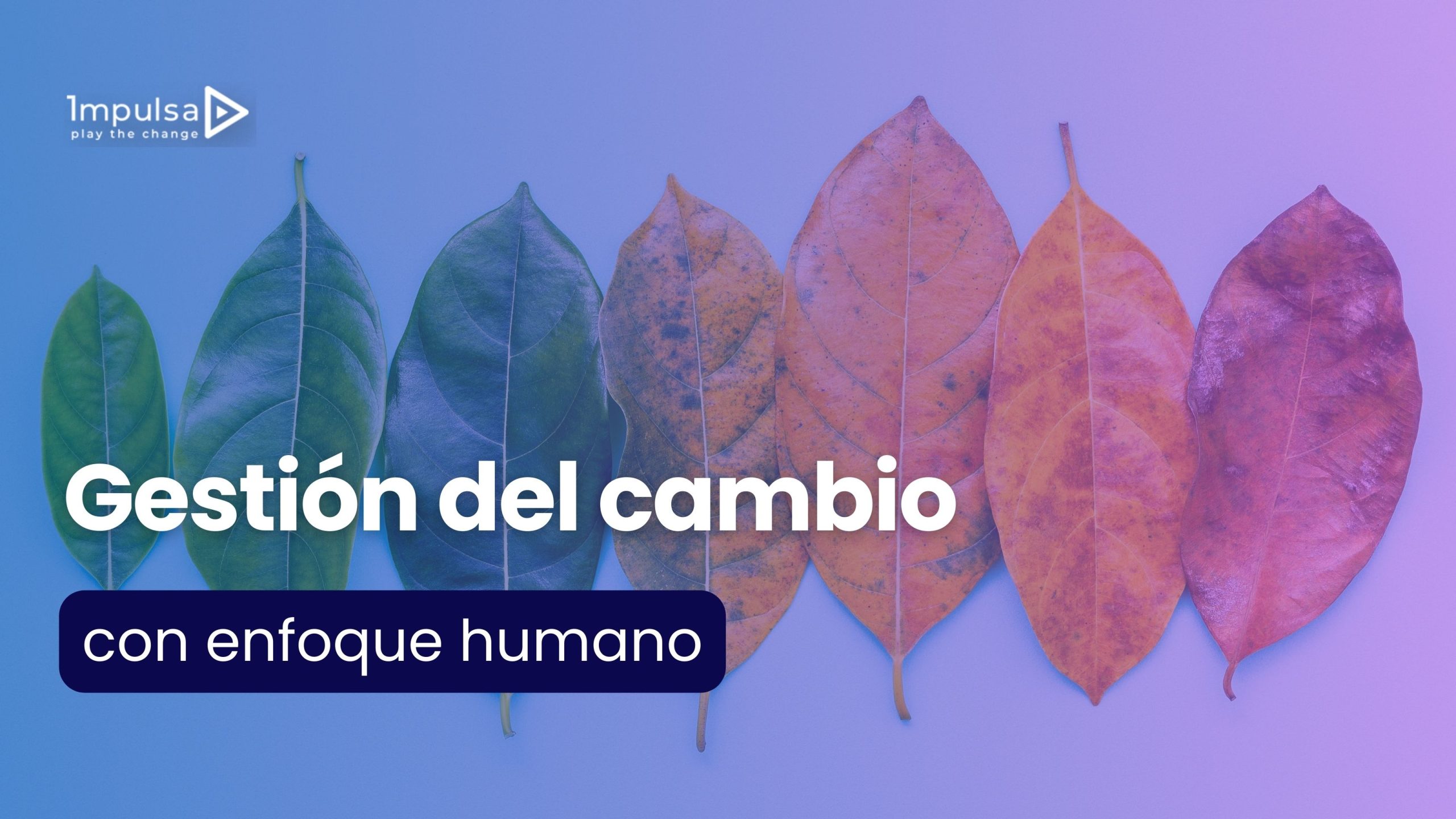 gestion del cambio con enfoque humano blog
